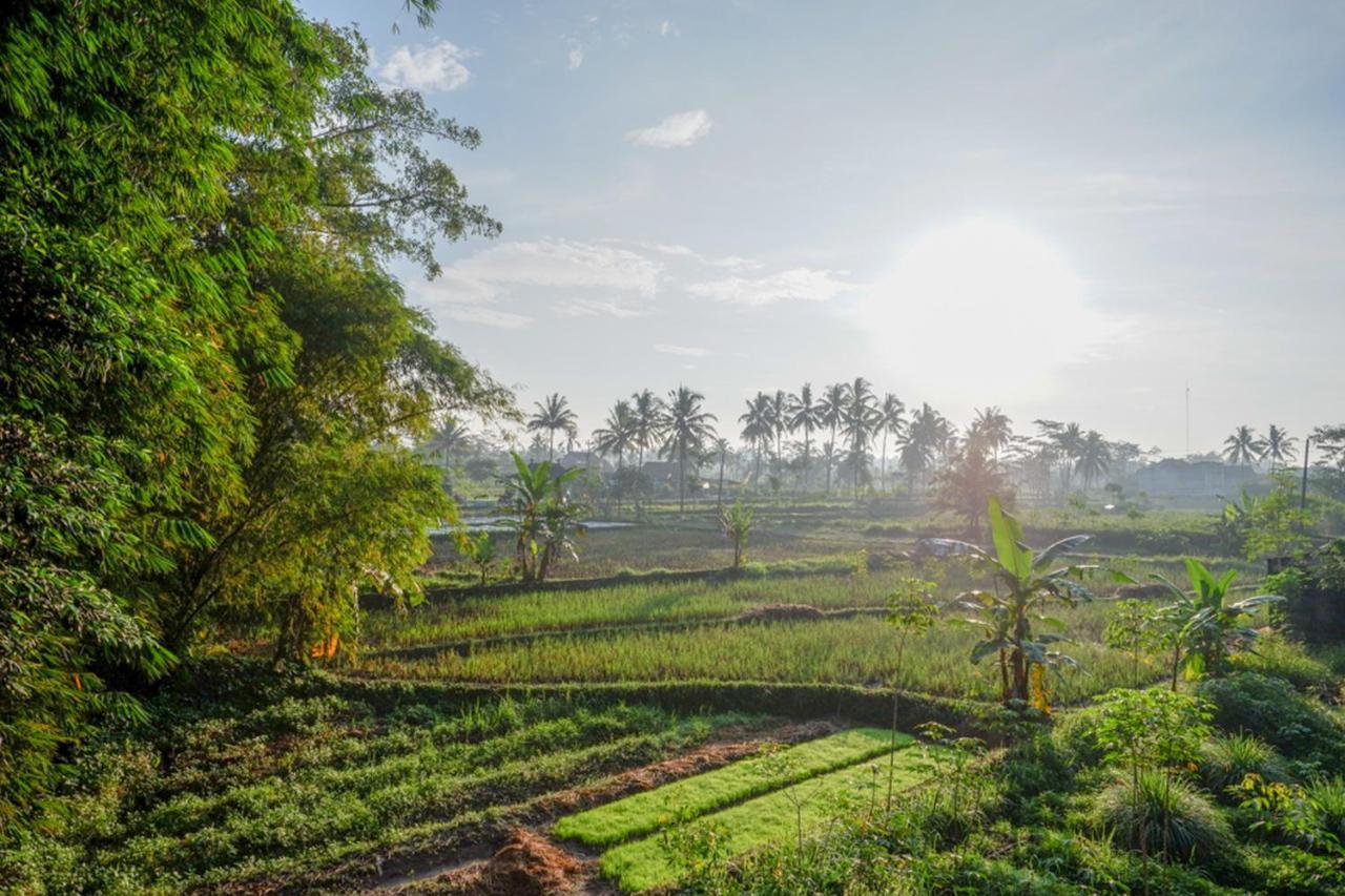 Reddoorz Syariah At Omah Sawah Otel Balong  Dış mekan fotoğraf